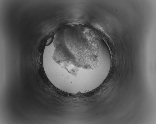 X0000096691399200802191418