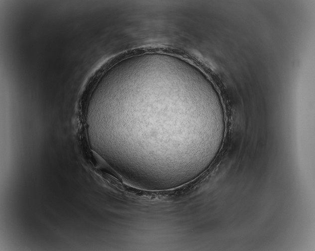 X0000096691400200802191418