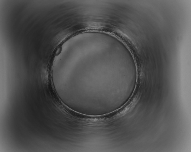 X0000096691401200802191418