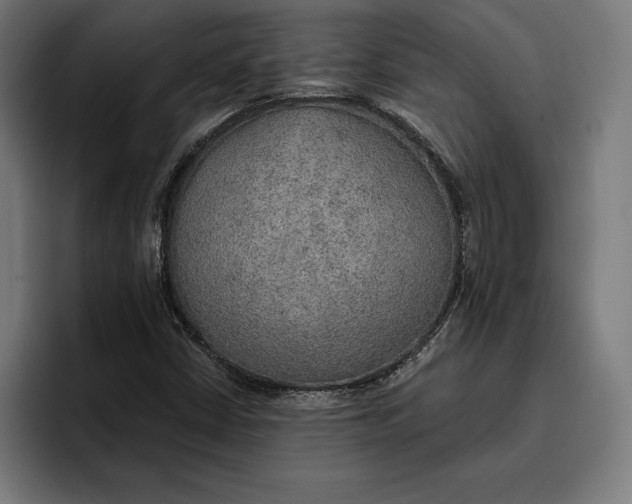 X0000096691402200802191418