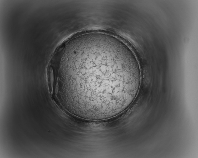 X0000096691404200802191418