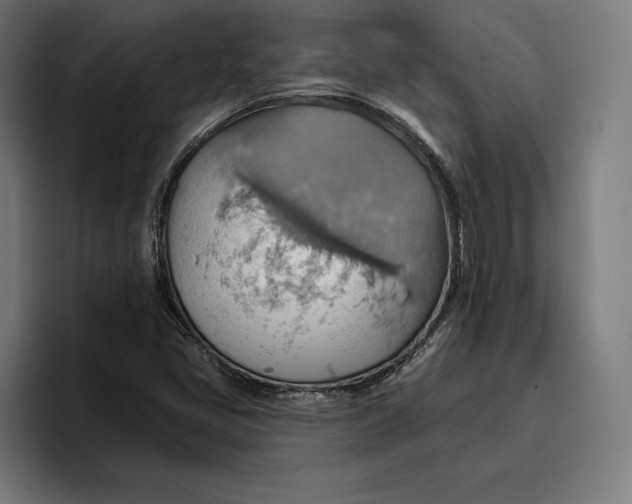 X0000096691405200802191418