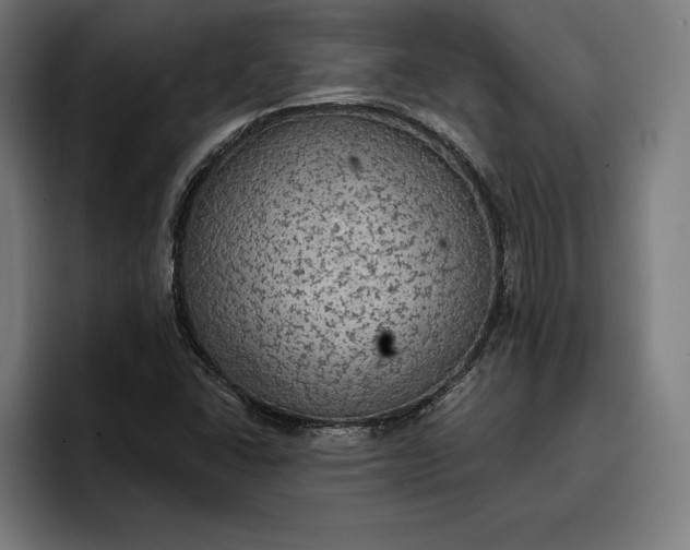 X0000096691406200802191418