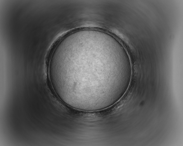 X0000096691408200802191419