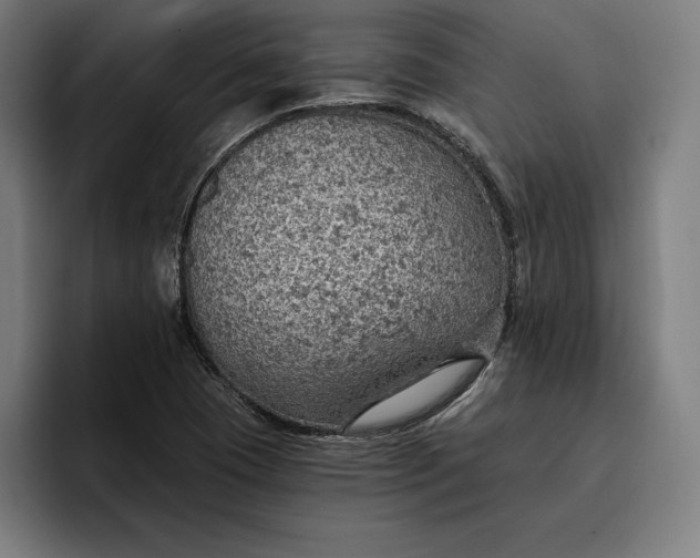 X0000096691409200802191419