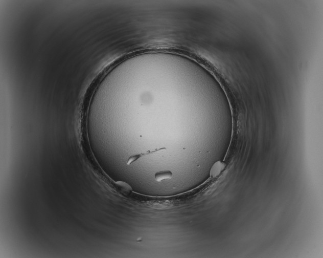 X0000096691410200802191419