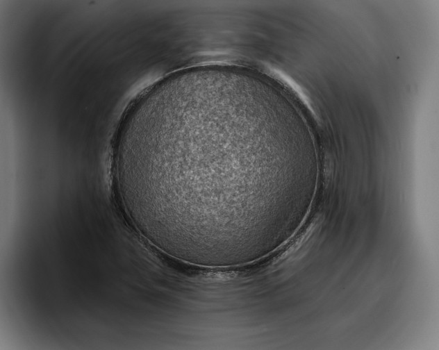 X0000096691411200802191419