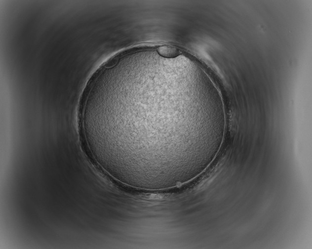 X0000096691412200802191419