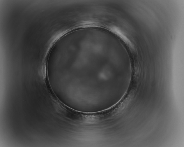 X0000096691413200802191419