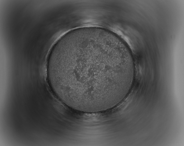 X0000096691415200802191419