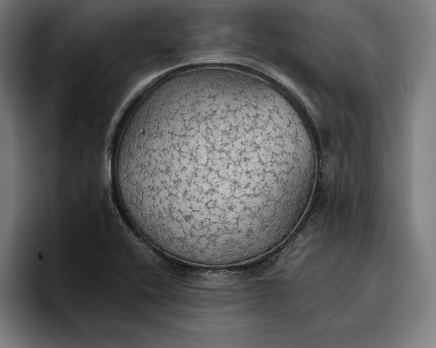 X0000096691416200802191419