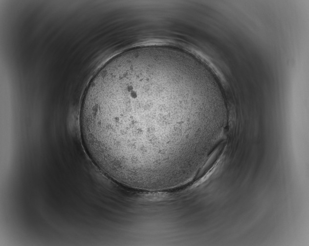 X0000096691417200802191419