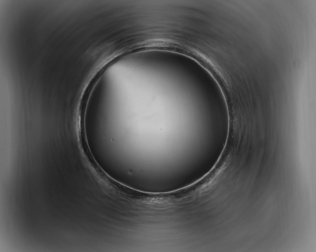 X0000096691418200802191419