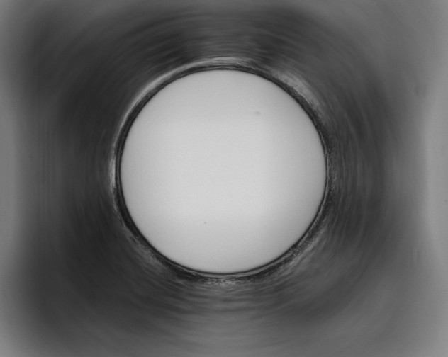 X0000096691420200802191419