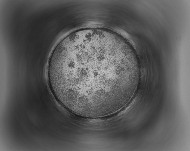 X0000096691421200802191419