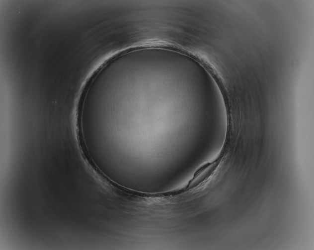 X0000096691422200802191419