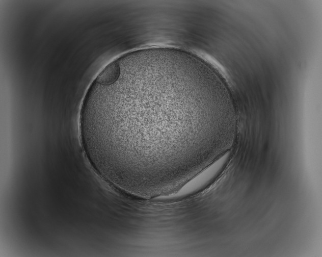 X0000096691423200802191419