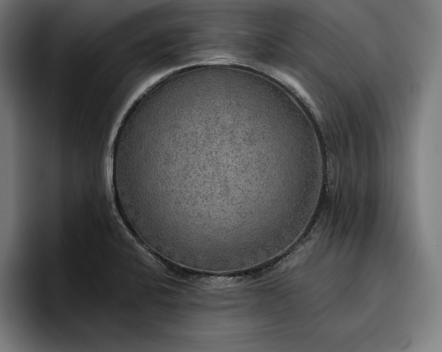 X0000096691424200802191419