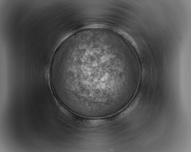 X0000096691425200802191419