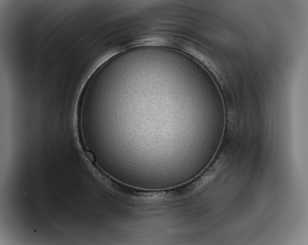 X0000096691426200802191419