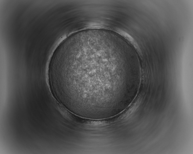 X0000096691427200802191419