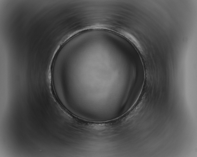 X0000096691428200802191419