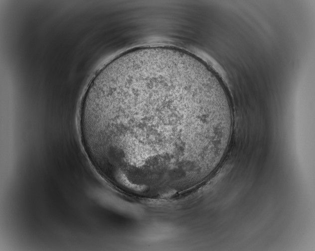 X0000096691429200802191419