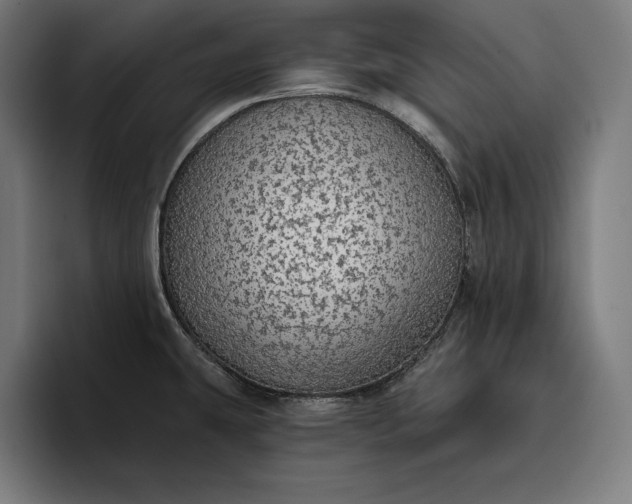 X0000096691431200802191419