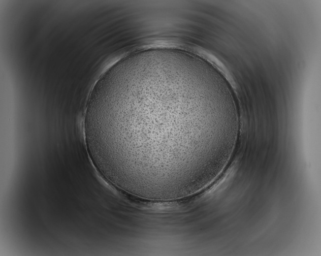 X0000096691433200802191419