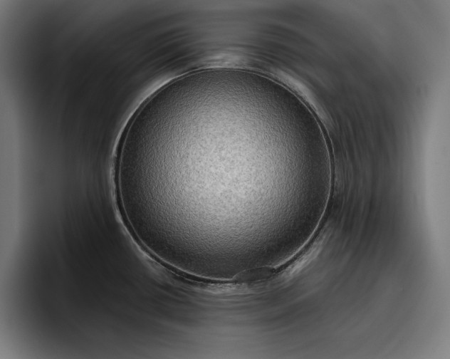 X0000096691434200802191419