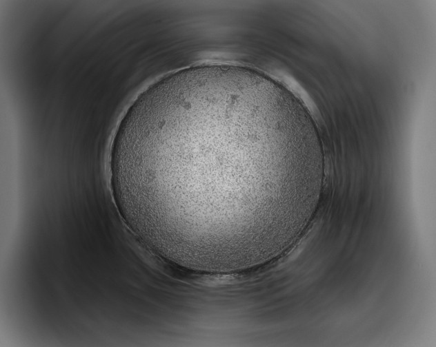 X0000096691435200802191419