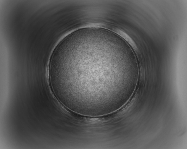 X0000096691436200802191419