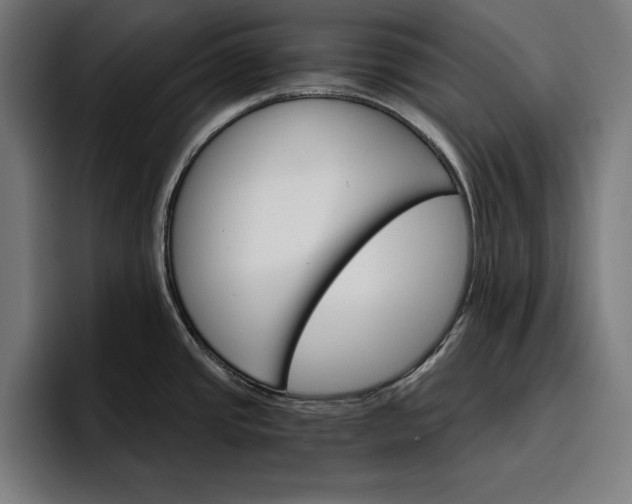 X0000096691437200802191419