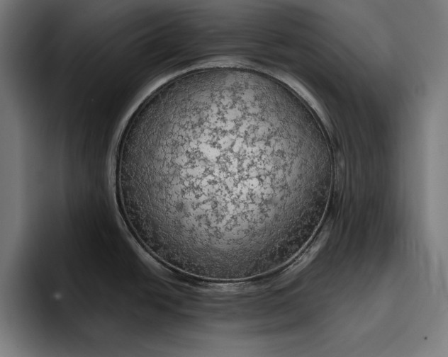 X0000096691438200802191419