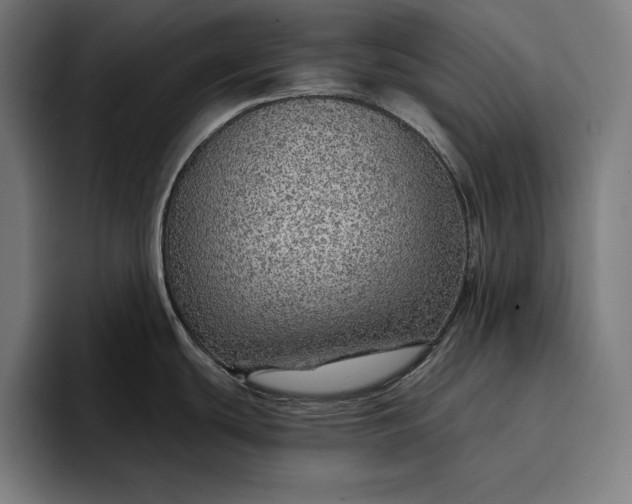 X0000096691439200802191419