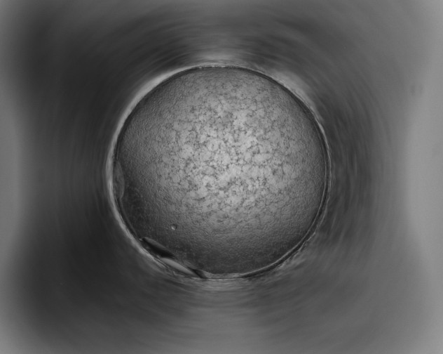 X0000096691440200802191419