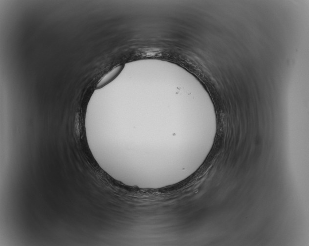 X0000096691442200802191418