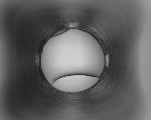 X0000096691443200802191418