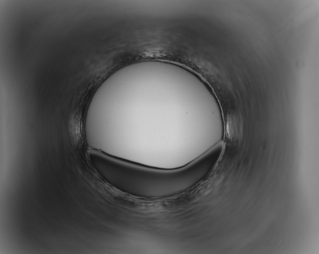 X0000096691444200802191418