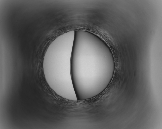 X0000096691445200802191418