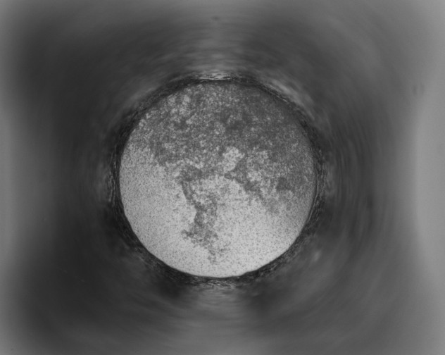 X0000096691446200802191418