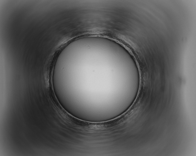 X0000096691451200802191418