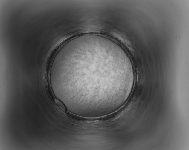 X0000096691453200802191418