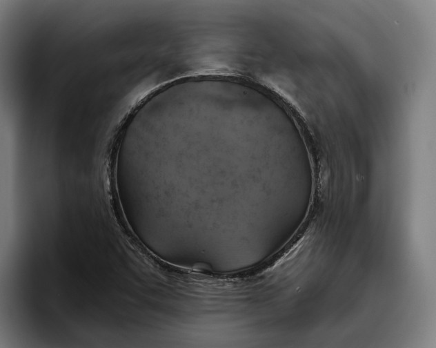 X0000096691455200802191418