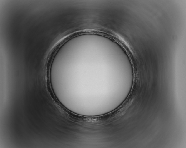 X0000096691456200802191418