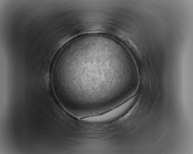 X0000096691457200802191418