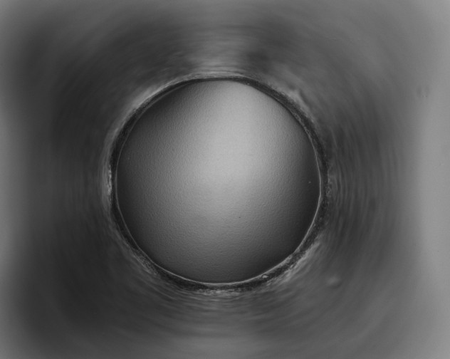 X0000096691461200802191418