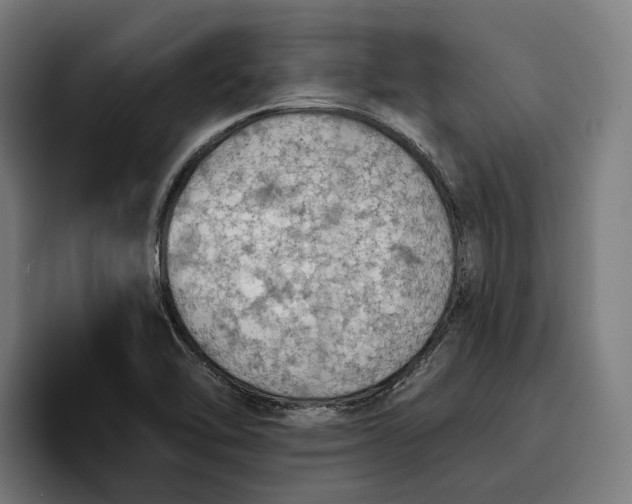 X0000096691462200802191418