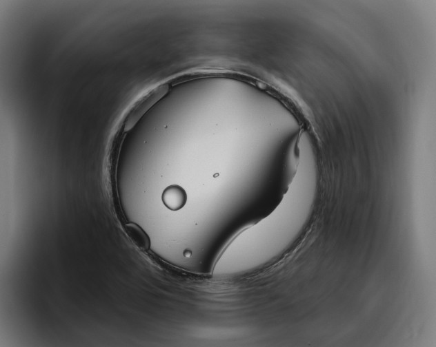 X0000096691464200802191418