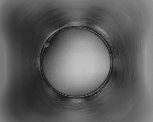 X0000096691465200802191418